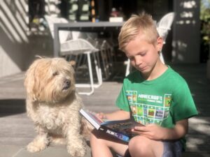 How do dogs take part in homeschooling